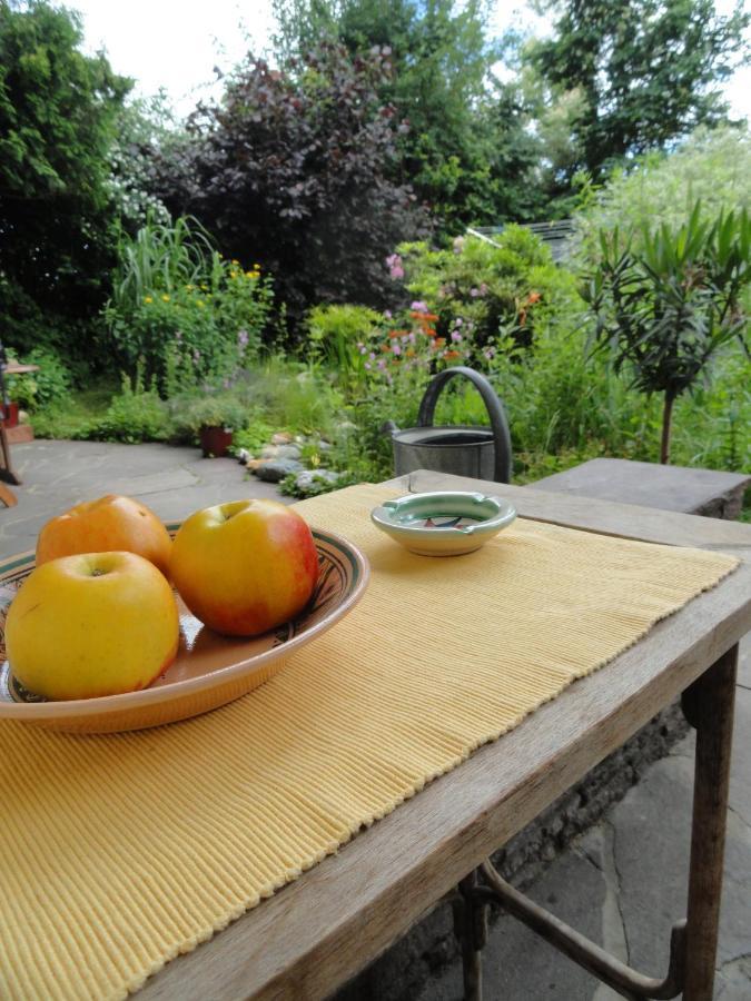Hunde und Kinder sind in der Gartenwohnung Gretl mit Biotop in Seenähe herzlich willkommen Seeboden am Millstätter See Exterior foto