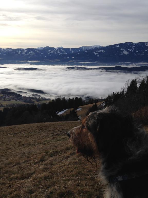 Hunde und Kinder sind in der Gartenwohnung Gretl mit Biotop in Seenähe herzlich willkommen Seeboden am Millstätter See Exterior foto